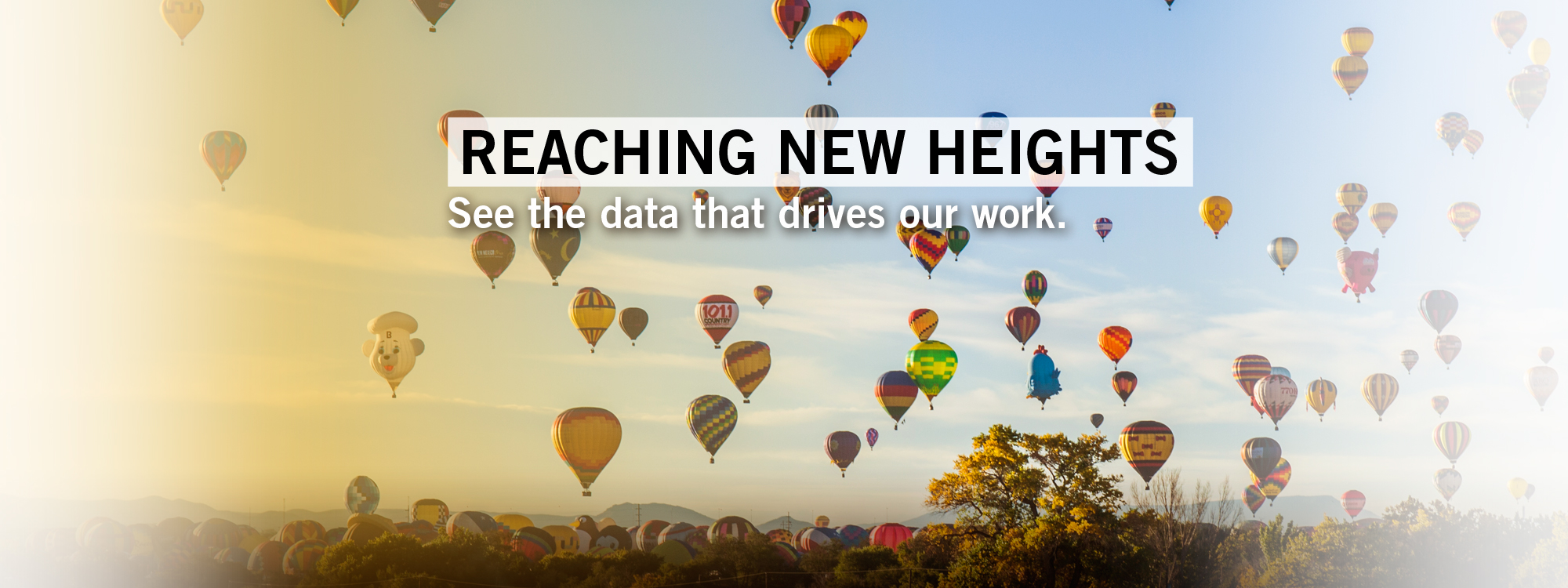 Data Report cover page